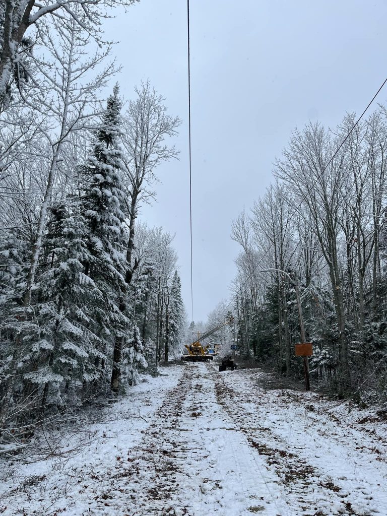 matane bas st-laurent arbre émondage