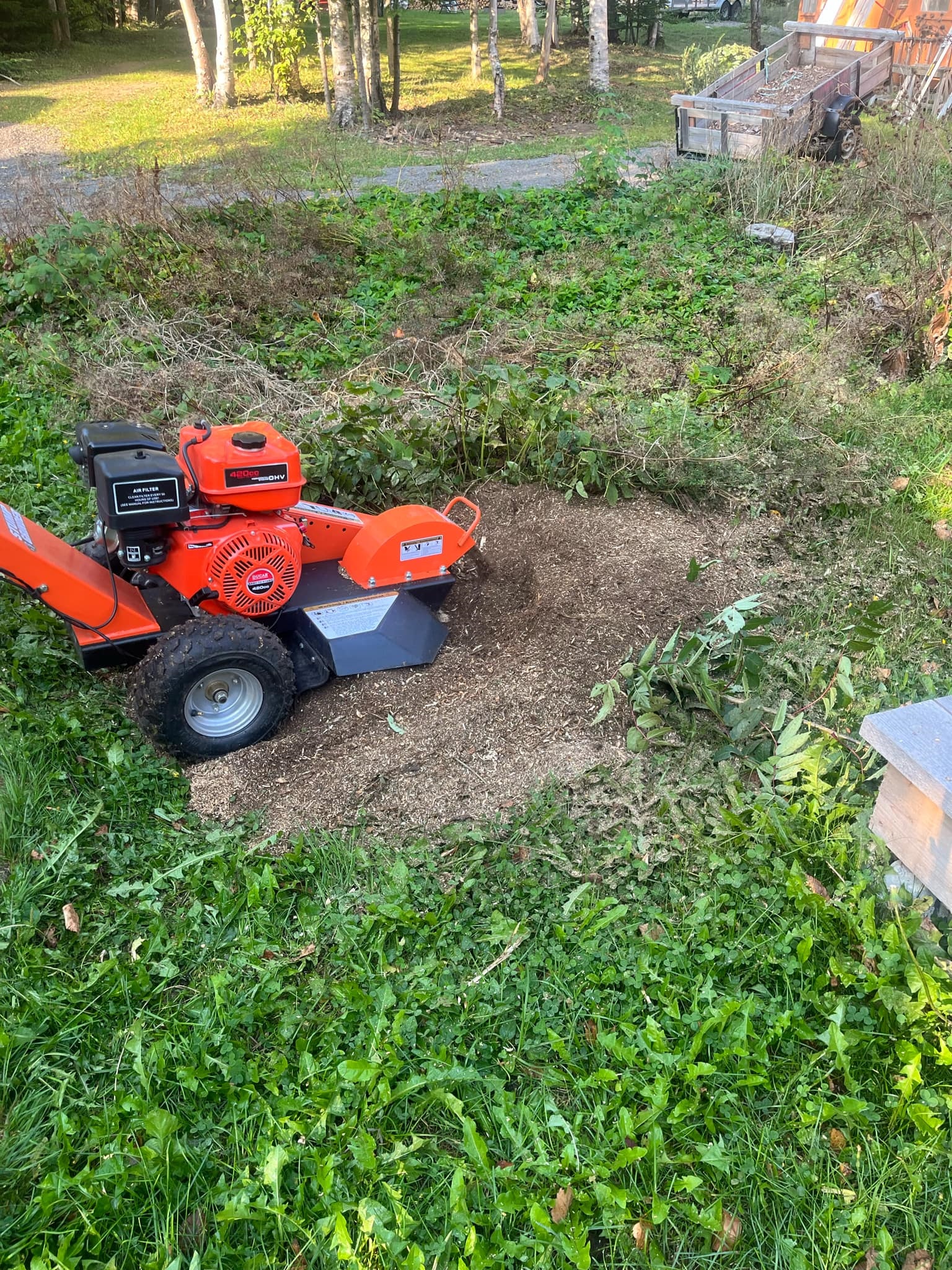 matane essousage bois coupe terrain 